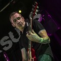 GutterPunk - Professional Concert Photography